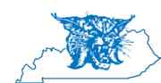 University of Kentucky Wildcat Logo